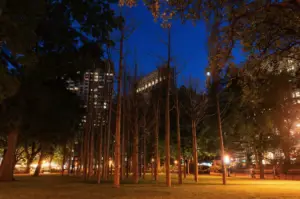 a lit up city at night