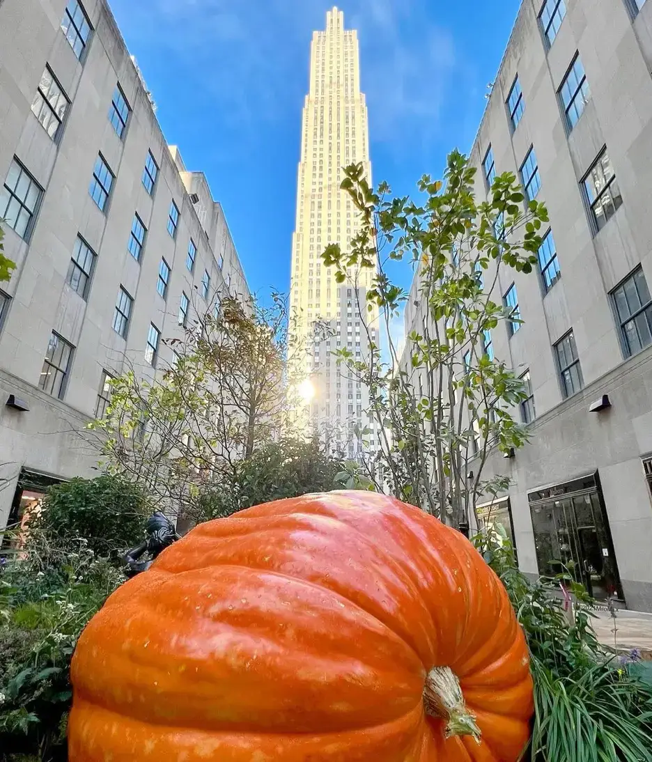 a giant orange pumpkin in front of Rockefeller plaza