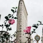 a vase with flowers in front of Flatiron Building