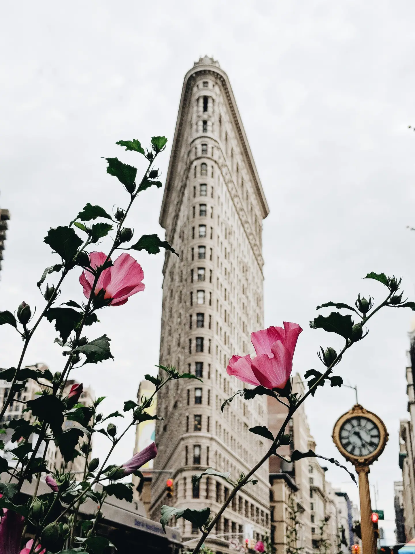 a vase with flowers in front of Flatiron Building