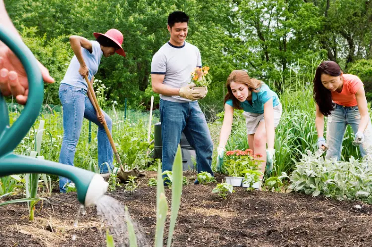 a group of people that are working in a garden