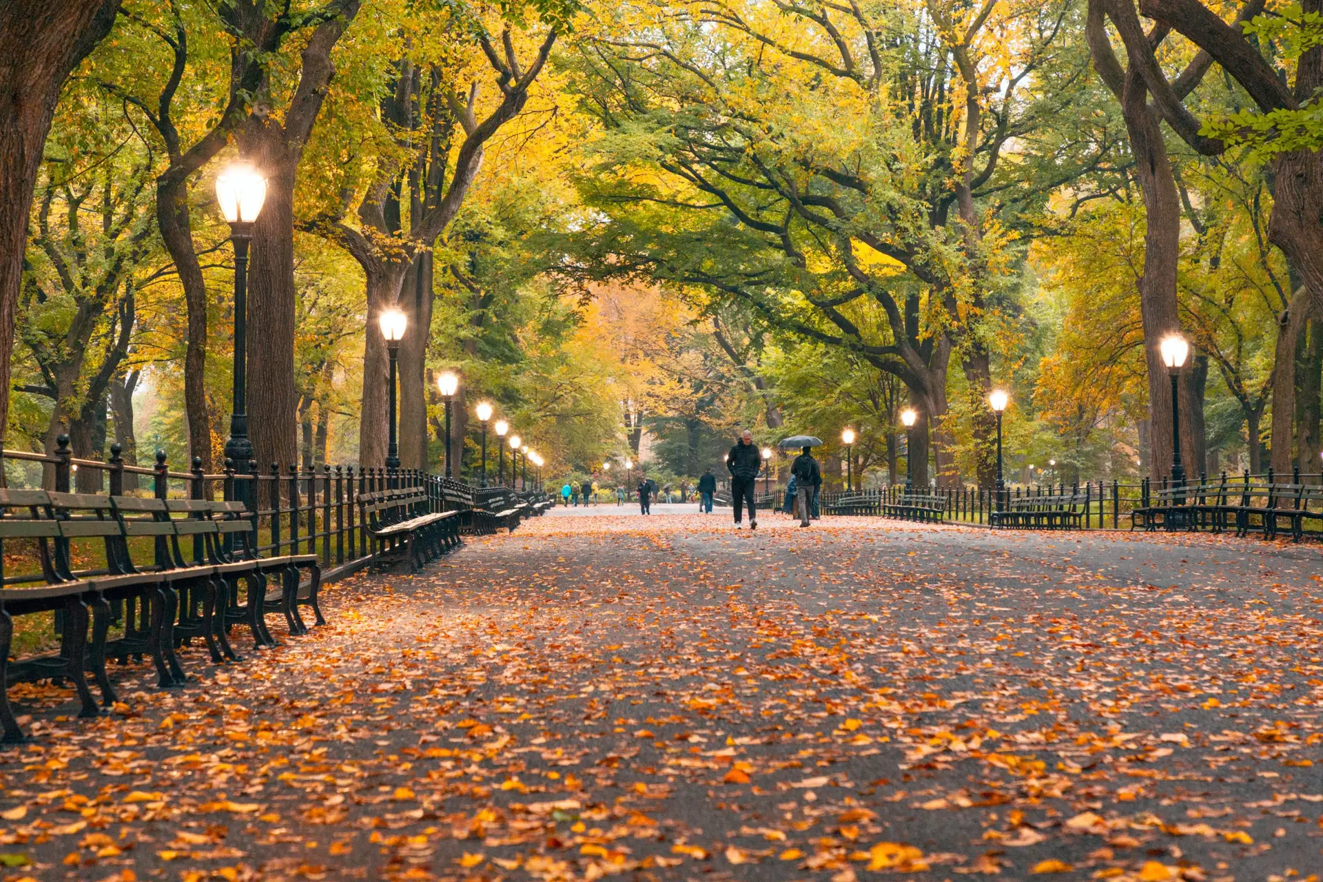 Autumn in New York City | Like A Local Tours