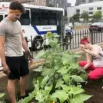 a group of people standing in a garden