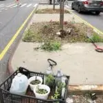 a car parked on the side of a road