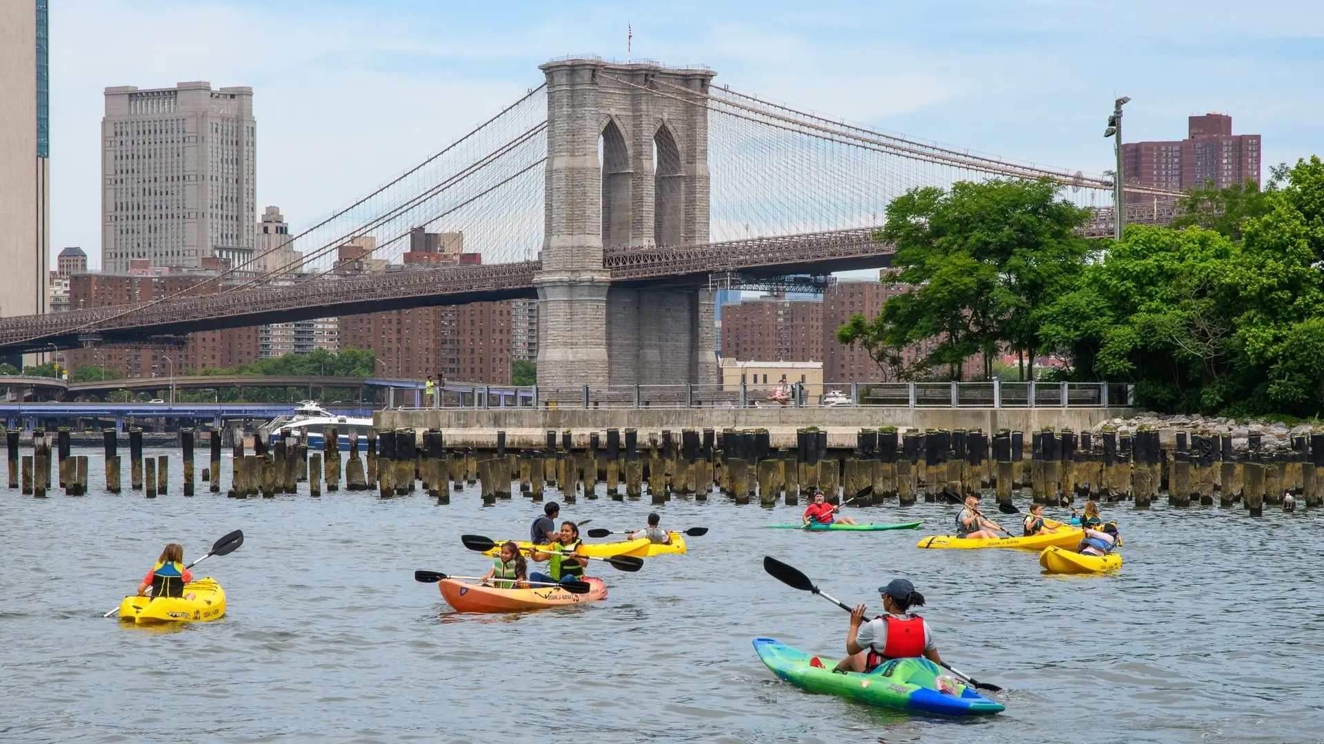 a group of people swimming in a body of water