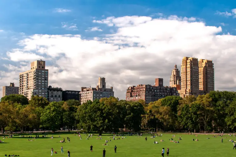 People relaxing on a lawn in Central Park, with apartment buildings beyond the trees
