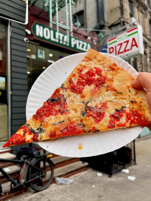 a person holding a slice of pizza