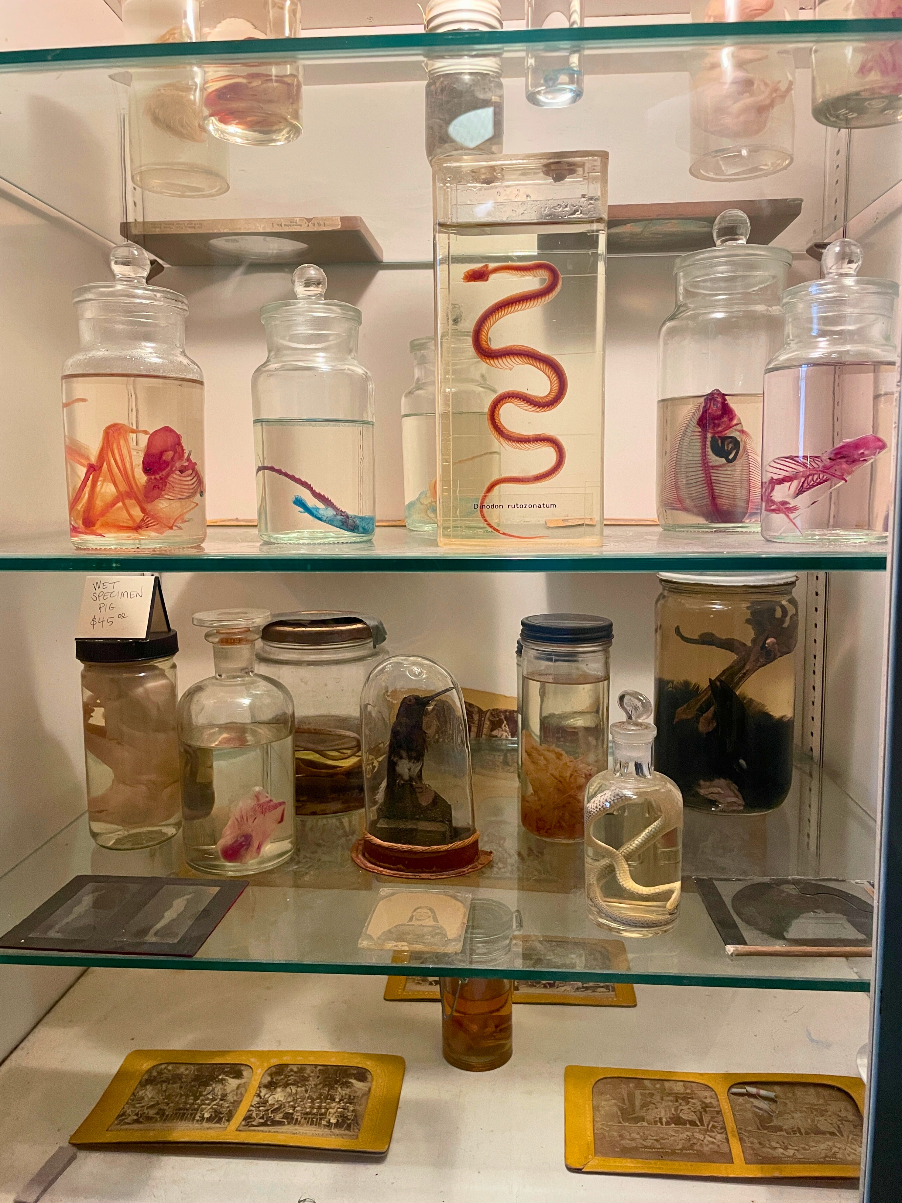 a close up of a bottle and a glass display case