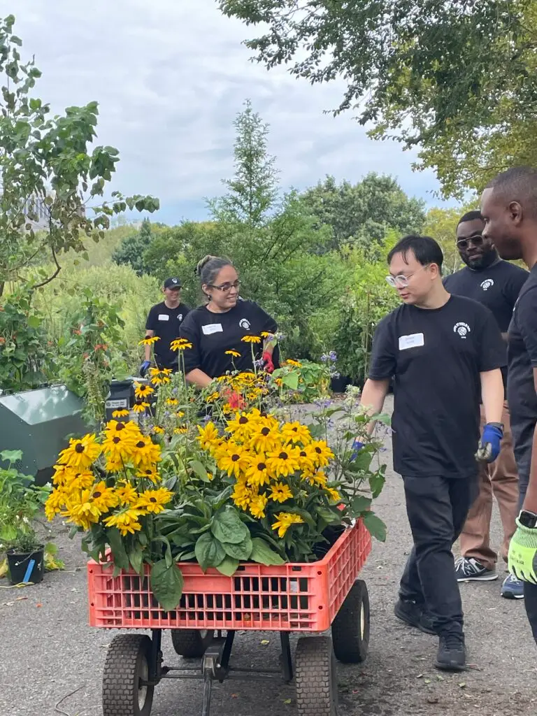 LikeALocalTours-earthmatter2