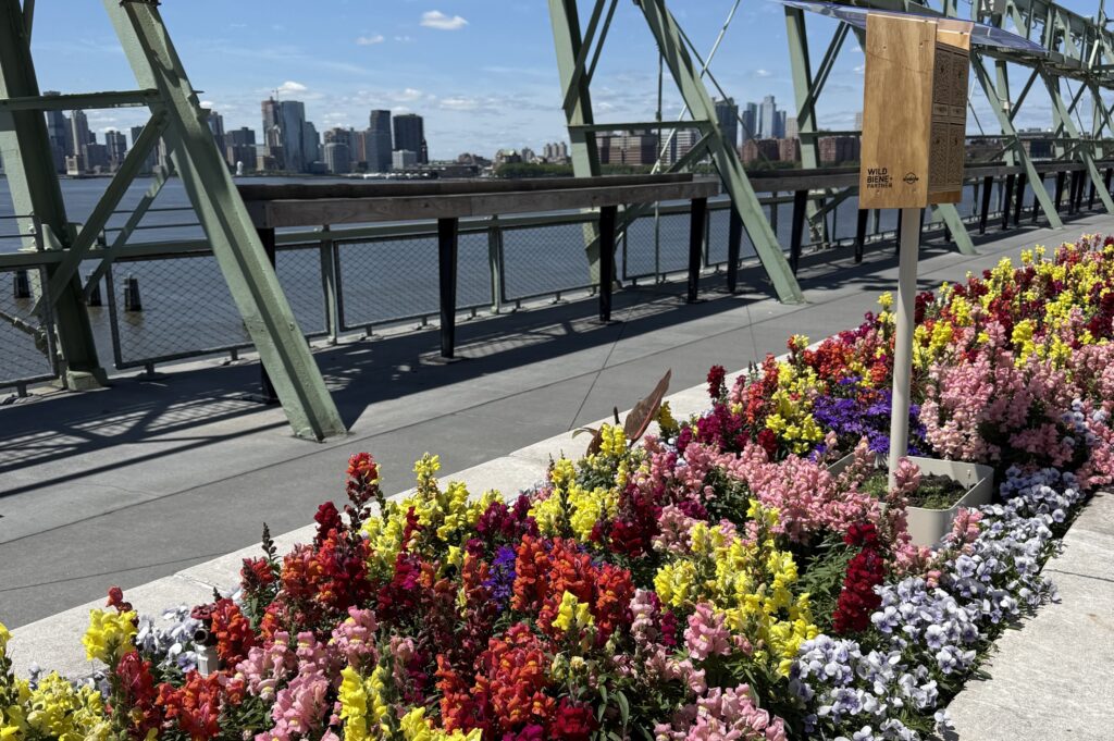 Image 20250520 114215 303 2 2