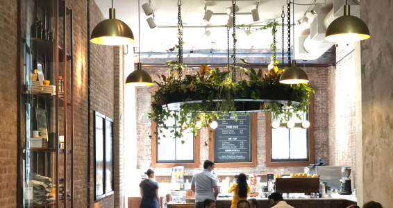 inside of a coffee shop with plants