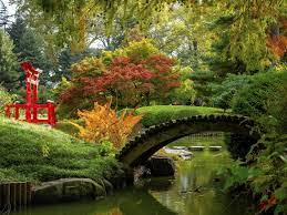 a bridge over a body of water surrounded by trees